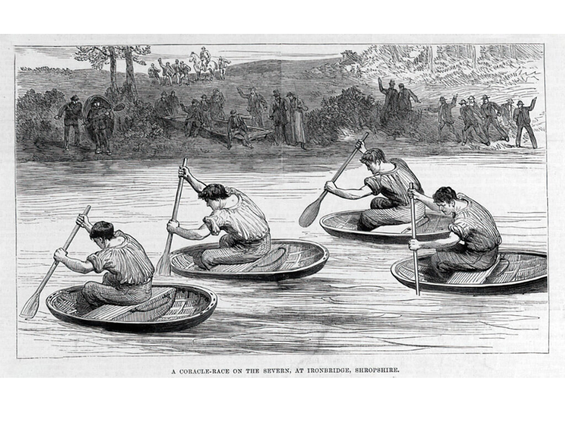 Coracle regatta